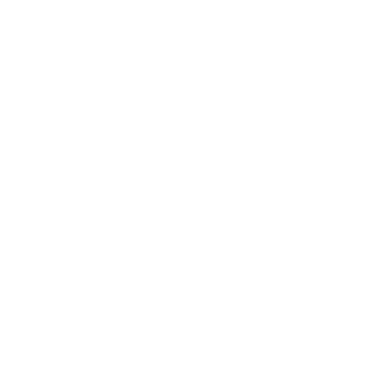 WDC Logo
